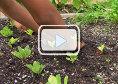 Growing the Future
