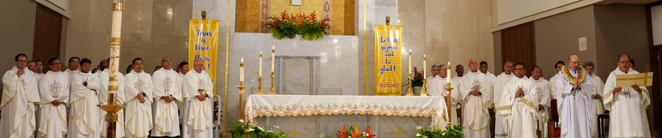 Diocesan Livestream